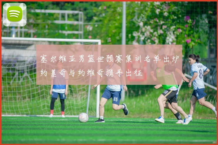 塞尔维亚男篮世预赛集训名单出炉约基奇与约维奇携手出征