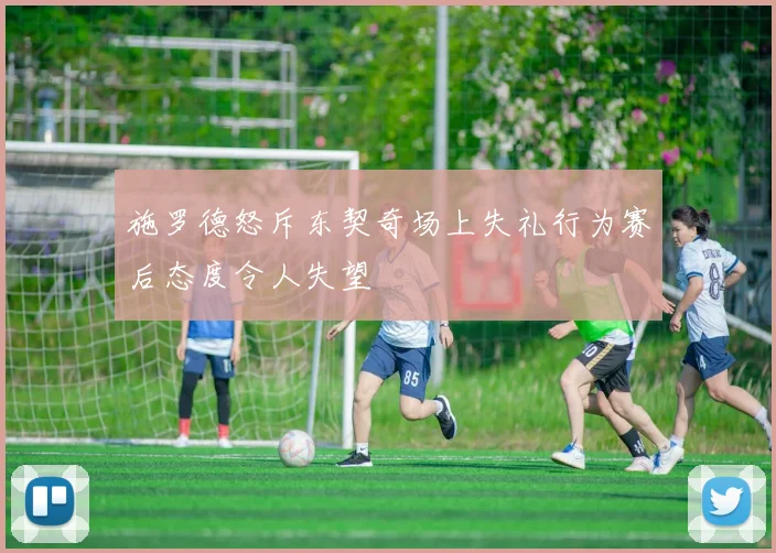 施罗德怒斥东契奇场上失礼行为赛后态度令人失望